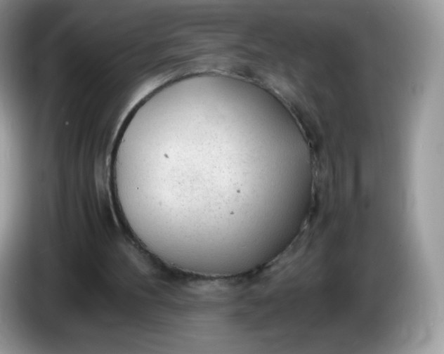 X0000086230100200704121923