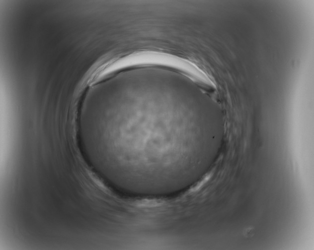 X0000086230101200704121923