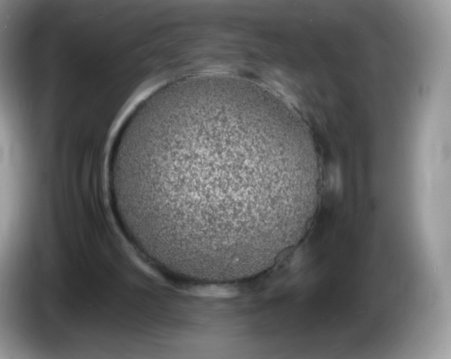 X0000086230102200704121923