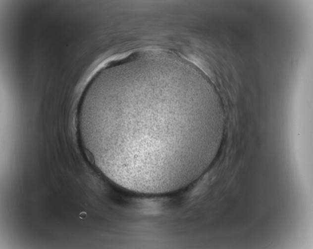 X0000086230103200704121923