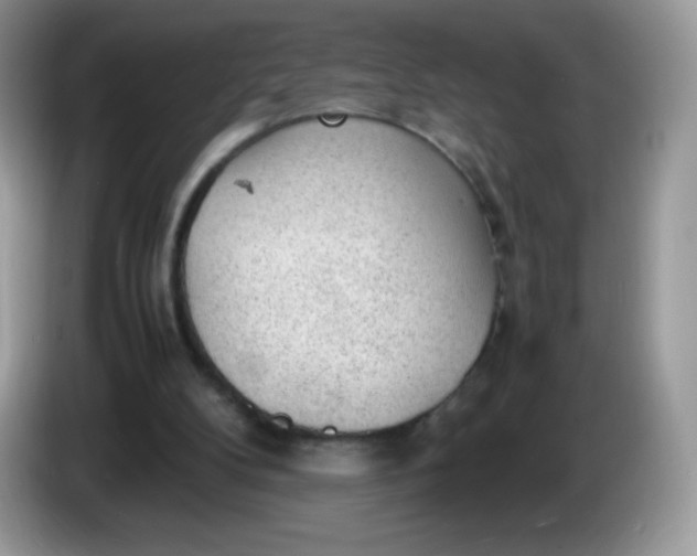 X0000086230104200704121923