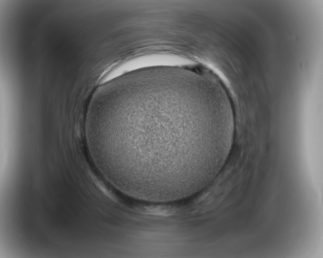 X0000086230105200704121923