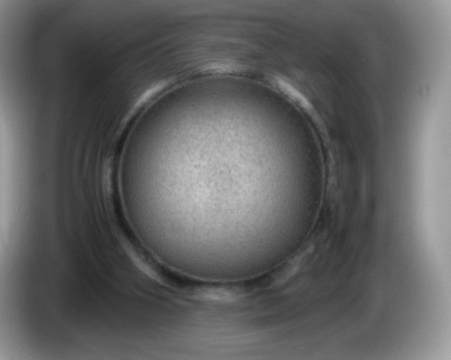 X0000086230106200704121923