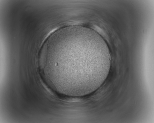 X0000086230107200704121923