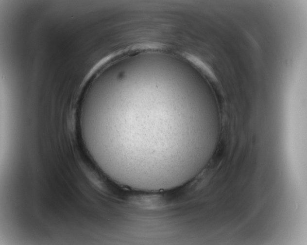 X0000086230108200704121923