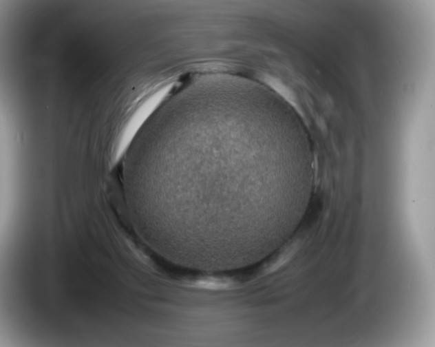 X0000086230109200704121923