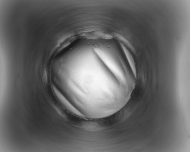 X0000086230110200704121923