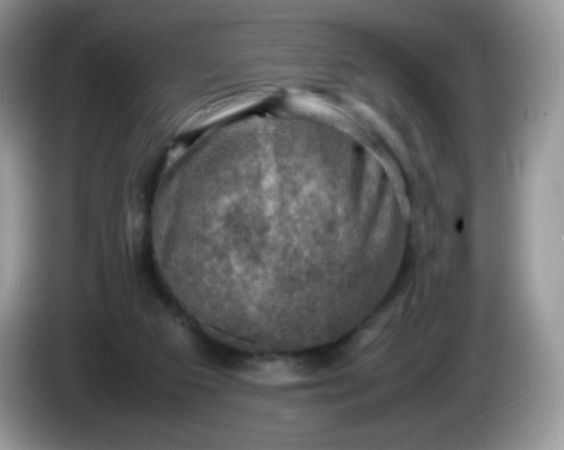 X0000086230113200704121923