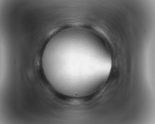 X0000086230115200704121923