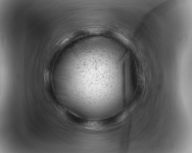 X0000086230117200704121923