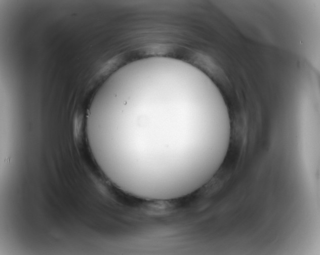 X0000086230118200704121922