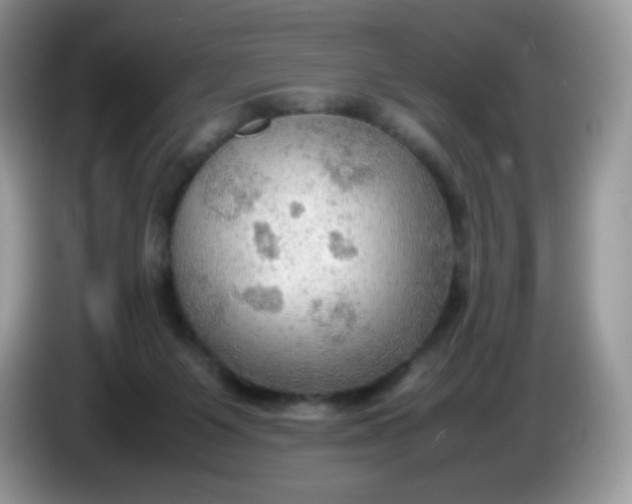 X0000086230119200704121922