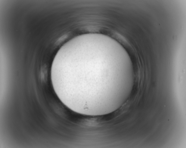 X0000086230120200704121922