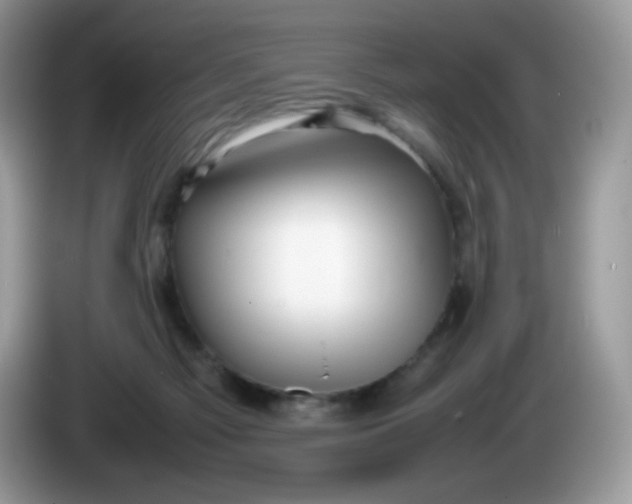 X0000086230121200704121922