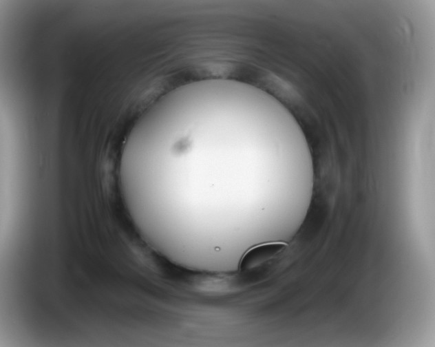 X0000086230122200704121922