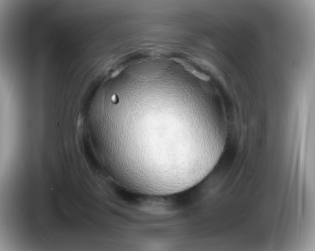 X0000086230123200704121922