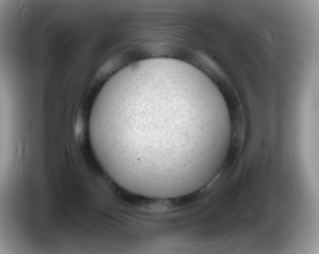 X0000086230124200704121922