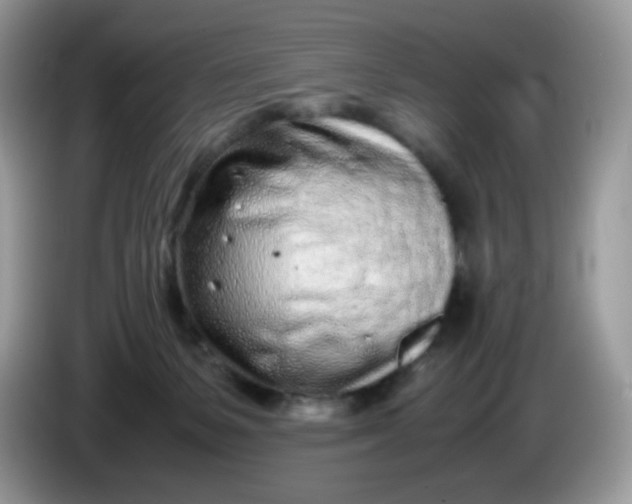 X0000086230127200704121922