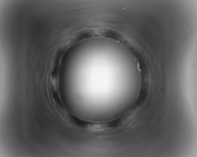 X0000086230129200704121922