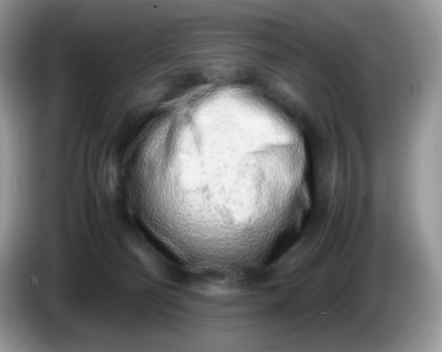 X0000086230130200704121922