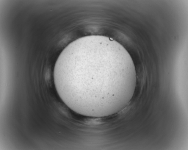 X0000086230132200704121922