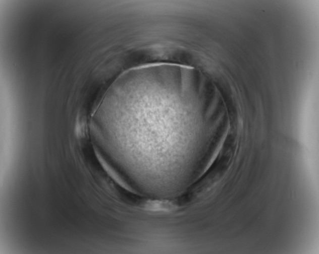 X0000086230137200704121922