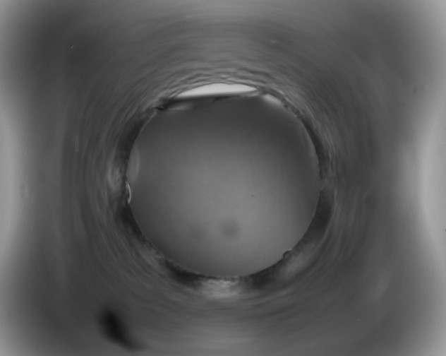 X0000086230139200704121922