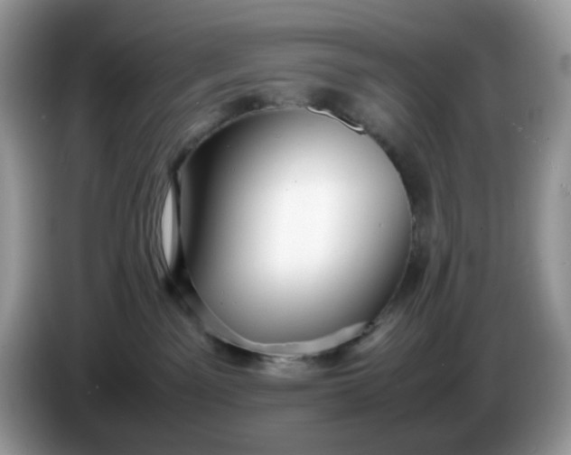 X0000086230141200704121922