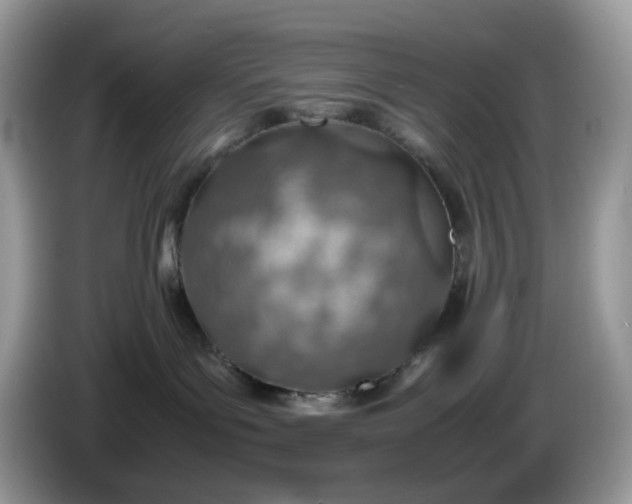 X0000086230143200704121922