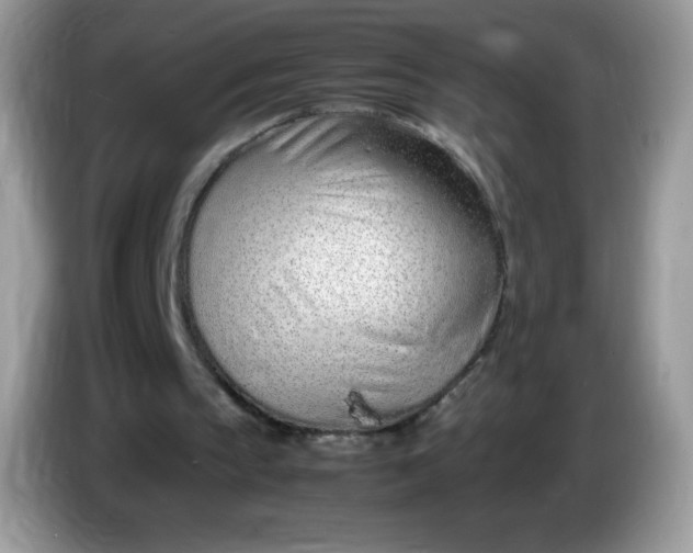 X0000086230145200704121922