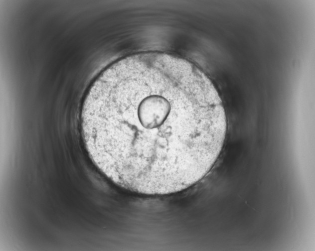 X0000086230146200704121922