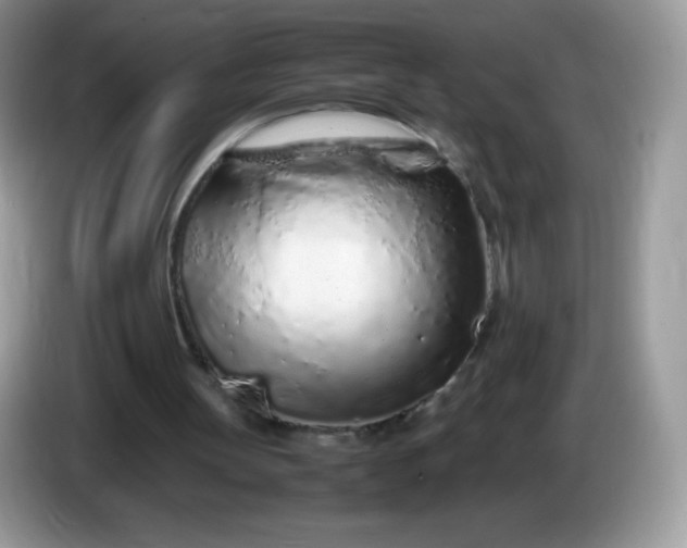 X0000086230147200704121922