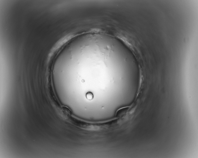 X0000086230149200704121922