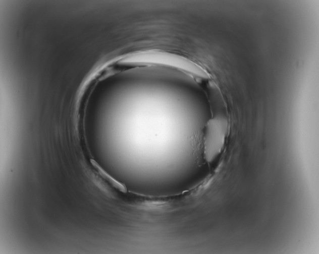 X0000086230150200704121922