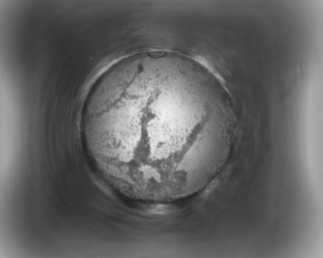 X0000086230151200704121922