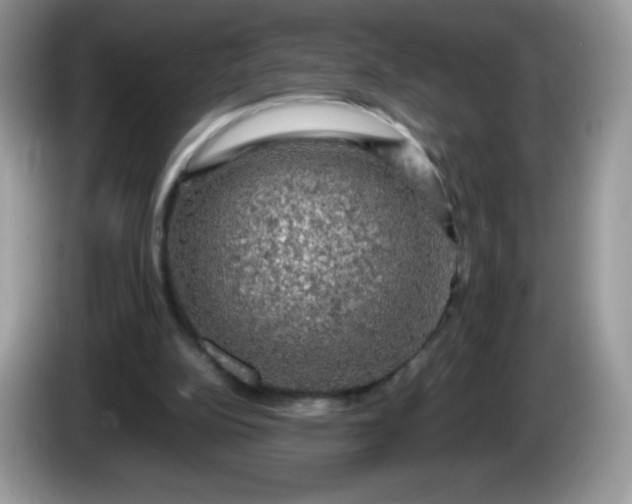 X0000086230152200704121922