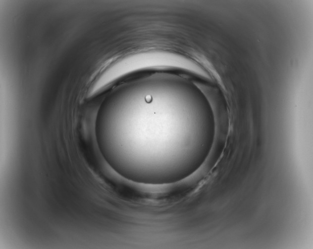 X0000086230154200704121922