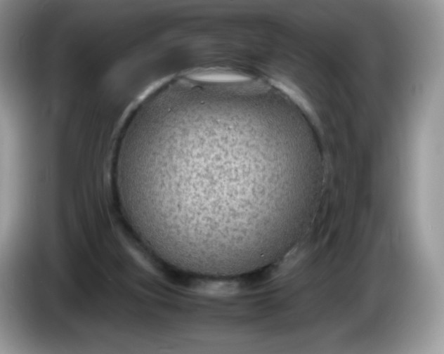 X0000086230155200704121922