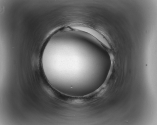 X0000086230156200704121922