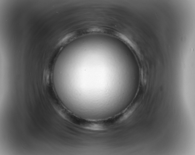 X0000086230157200704121922