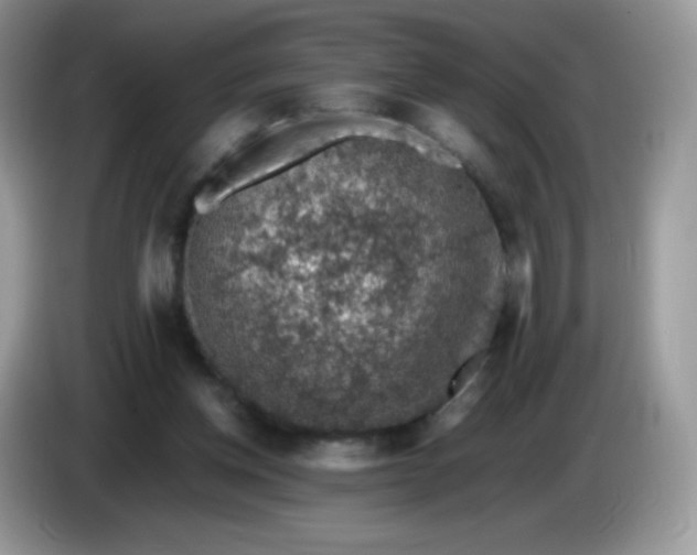 X0000086230158200704121922