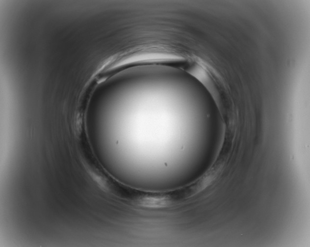 X0000086230160200704121922