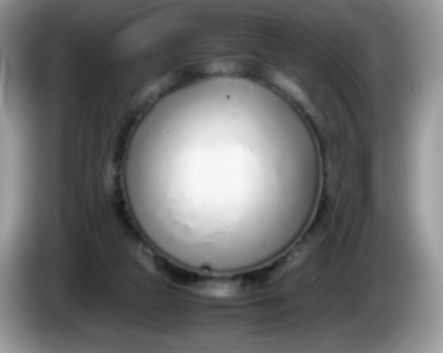 X0000086230161200704121922