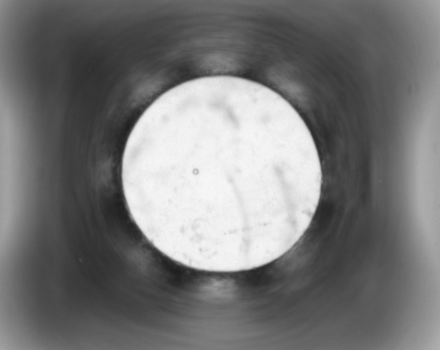 X0000086230162200704121922