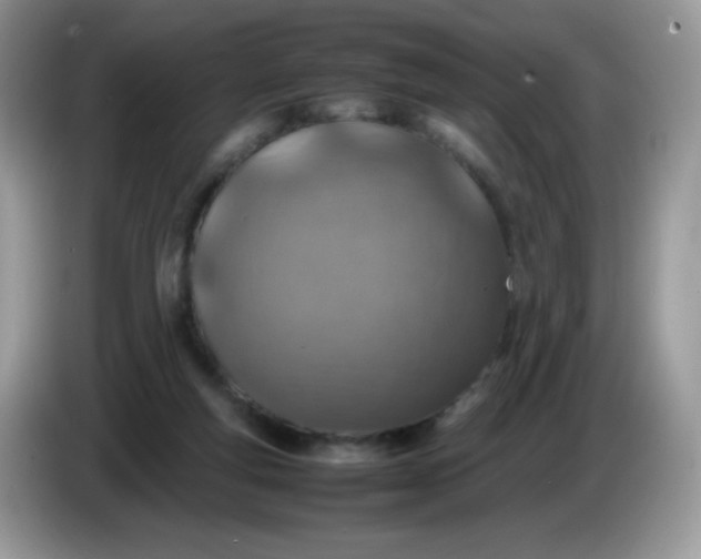 X0000086230163200704121922