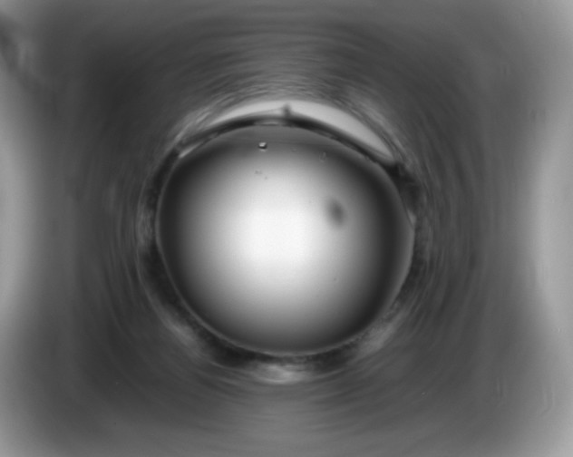 X0000086230164200704121922