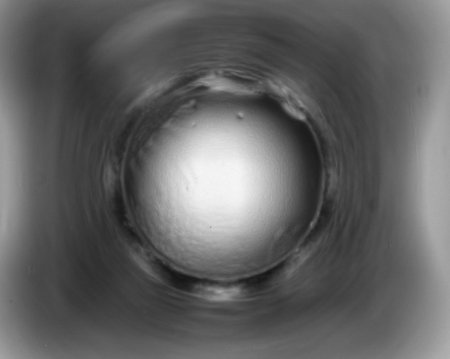 X0000086230165200704121922