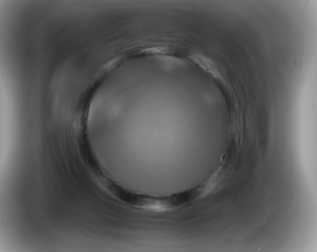 X0000086230167200704121922