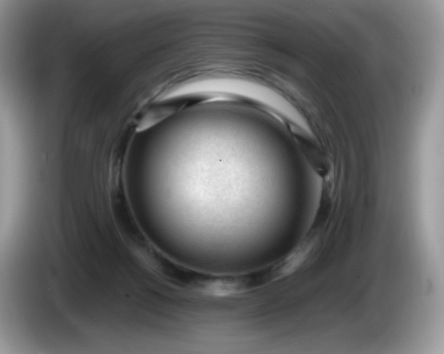 X0000086230168200704121922