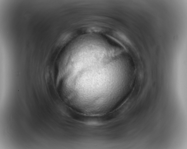 X0000086230169200704121922